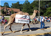 Camel2