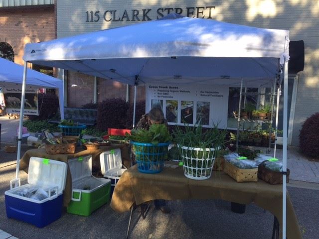 Cross Creek Acres had vegetables for sale